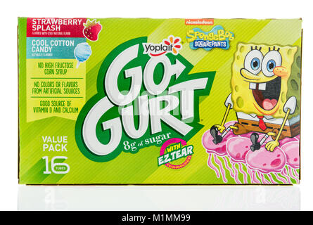 Winneconne, WI - 24. Januar 2018: Ein Paket von Yoplait Gogurt mit SpongeBob auf einem isolierten Hintergrund. Stockfoto