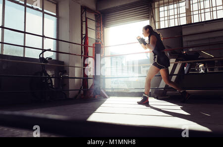 Weibliche Boxer tun Schattenboxen in einem Boxring. Boxer üben Boxing bewegt sich mit Boxen Studio. Stockfoto