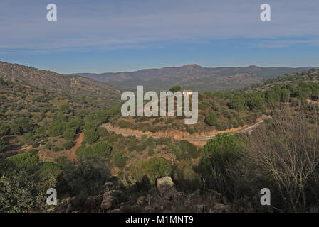 Gebirgsstrasse mit isolierten Haus auf einem Hügel mit Stone Pine Tree Parque Natural Sierra de Andujar, Jaen, Spanien Januar Stockfoto