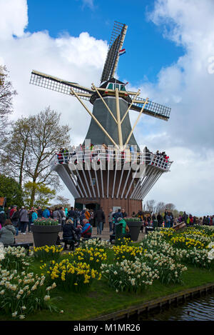 Eine holländische Windmühle in der Gartenanlage Keukenhof bei Lisse im Süden von Holland. Besucher können den außerhalb der Plattform klettern für einen tollen Blick auf die Tul Stockfoto