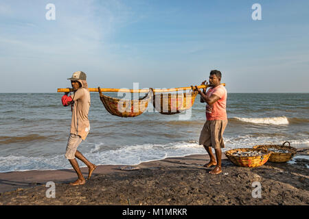 Im Leben der Hafen in Colombo, Colombo, Western Province, Sri Lanka, Asien Stockfoto