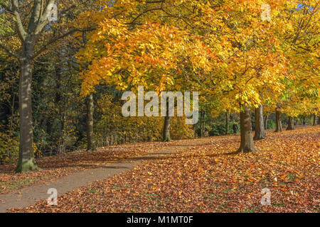 Herbst Szene in Abington park Northampton Stockfoto