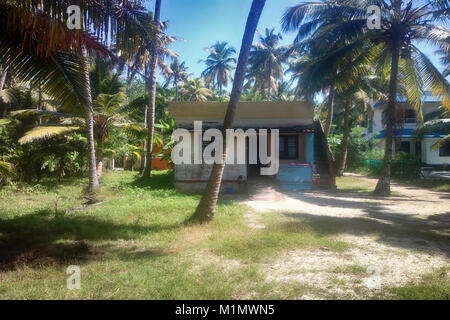 Bescheidenes Haus der armen indischen unter alten Kunst Kokospalmen (Cocos nucifera), in der Nähe der Zwei-stöckige Villa Stockfoto