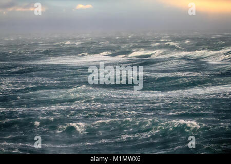 Gletscher Brise, Katabatischen Wind. Bora, gefährliche Wind in den Arktischen Ozean, Nowaja Semlja, Russland Stockfoto