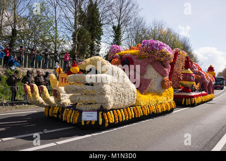 Die jährlichen Blumenkorso mit zwanzig großen schwimmt plus 30 kleinere Fahrzeuge, in einen Aufstand der Farbe über die frisch geschnittene Tulpen und andere spri eingerichtet Stockfoto