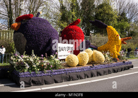 Die jährlichen Blumenkorso mit zwanzig großen schwimmt plus 30 kleinere Fahrzeuge, in einen Aufstand der Farbe über die frisch geschnittene Tulpen und andere spri eingerichtet Stockfoto