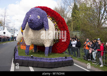 Die jährlichen Blumenkorso mit zwanzig großen schwimmt plus 30 kleinere Fahrzeuge, in einen Aufstand der Farbe über die frisch geschnittene Tulpen und andere spri eingerichtet Stockfoto