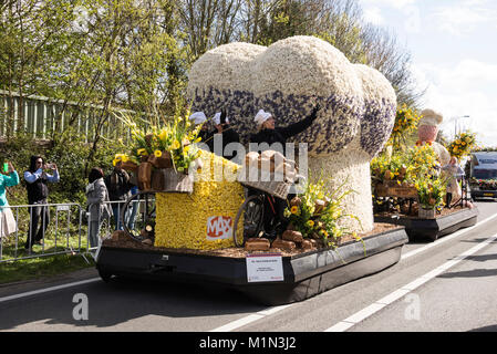 Die jährlichen Blumenkorso mit zwanzig großen schwimmt plus 30 kleinere Fahrzeuge, in einen Aufstand der Farbe über die frisch geschnittene Tulpen und andere spri eingerichtet Stockfoto