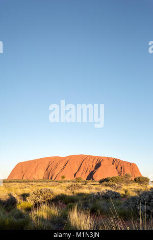 Uluru, rotes Zentrum, der große Outback. Northern Territory, Australien Stockfoto