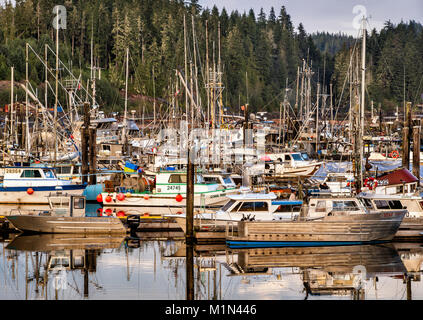 Fischerboote, Fisherman's Wharf in Port Hardy, North Vancouver Island, British Columbia, Kanada Stockfoto
