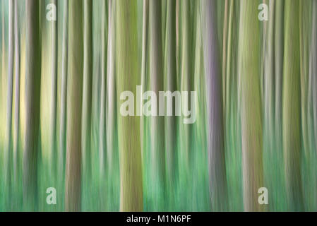 Abstraktes Bild der Wald oberhalb der Derwent Valley in der Nationalpark Peak District, Derbyshire, England. Stockfoto