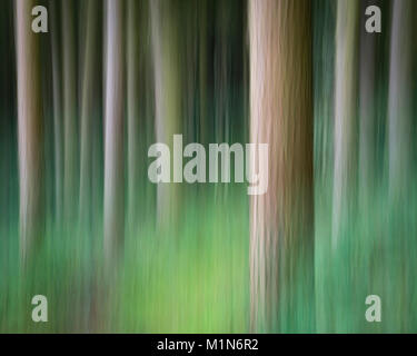 Abstraktes Bild der Wald oberhalb der Derwent Valley in der Nationalpark Peak District, Derbyshire, England. Stockfoto