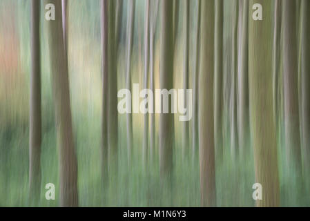 Abstraktes Bild der Wald oberhalb der Derwent Valley in der Nationalpark Peak District, Derbyshire, England. Stockfoto