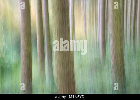 Abstraktes Bild der Wald oberhalb der Derwent Valley in der Nationalpark Peak District, Derbyshire, England. Stockfoto