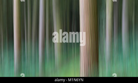 Abstraktes Bild der Wald oberhalb der Derwent Valley in der Nationalpark Peak District, Derbyshire, England. Stockfoto