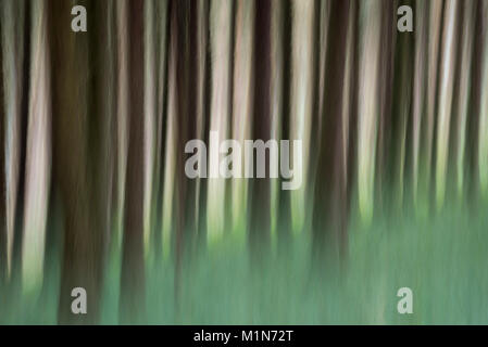 Abstraktes Bild der Wald oberhalb der Derwent Valley in der Nationalpark Peak District, Derbyshire, England. Stockfoto