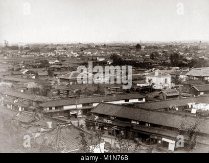 C 1880 Japan - Birds auf Tokio Stockfoto