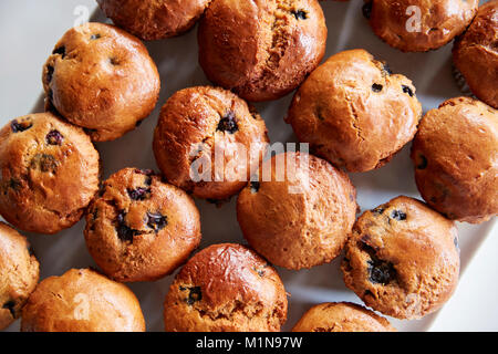 Anzeige der frisch gebackene Blueberry Muffins Coffee Shop Stockfoto