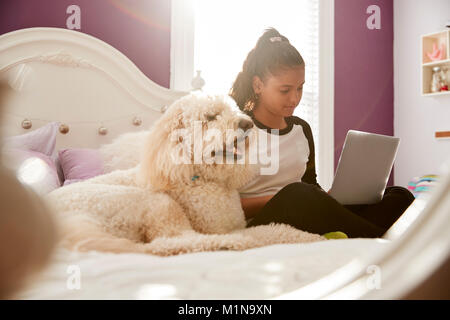 Junge Teen Girl mit Laptop auf ihrem Bett neben Hund Stockfoto