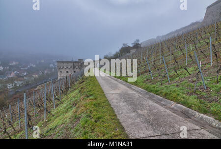 Stad Würzburg eine mittelalterliche Stadt in Westdeutschland Bayern und der innere Bereich der Festung Marienberg Stockfoto