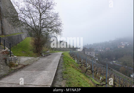 Stad Würzburg eine mittelalterliche Stadt in Westdeutschland Bayern und der innere Bereich der Festung Marienberg Stockfoto