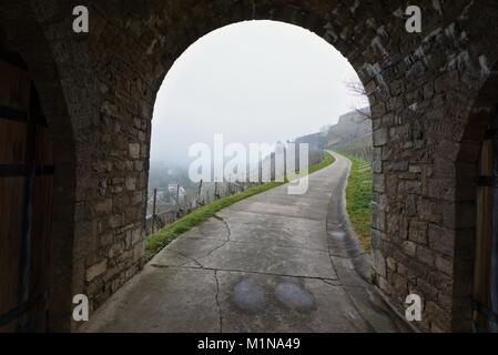 Stad Würzburg eine mittelalterliche Stadt in Westdeutschland Bayern und der innere Bereich der Festung Marienberg Stockfoto