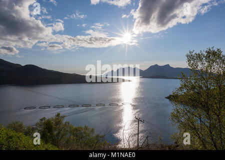 Bauernhof Fischen entlang der Norwegischen County Road 17 von Bodo zu Halsa. Norwegen Stockfoto