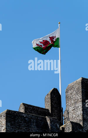 Walisische Flagge über Caerphilly Castle, auf Fahnenmast, der im Wind weht Stockfoto