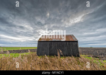 Eine alte Wellblech oder Zinn Scheune auf einem Bauernhof in der Mitte der Cambridgeshire Fens mit großen Fen sky in einer flachen moorlandzone Landschaft Stockfoto