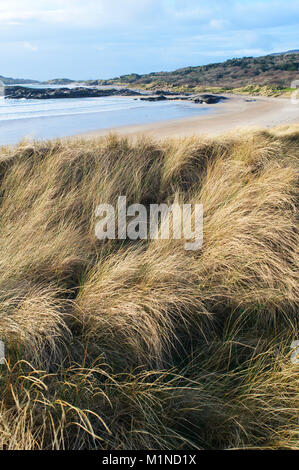 Der Strand und die Dünen bei Deerynane, County Kerry, Irland - Johannes Gollop Stockfoto