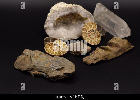 Fossilien und Edelsteine einschließlich einer geode, Brachiopoden, und Haarsterne auf eine nahtlose schwarzen Hintergrund angeordnet. Stockfoto