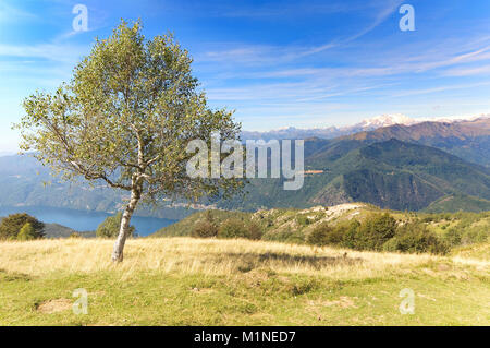 Mit Blick auf den Monte Rosa vom Gipfel des Mottarone - Stresa - Piemont - Italien Stockfoto