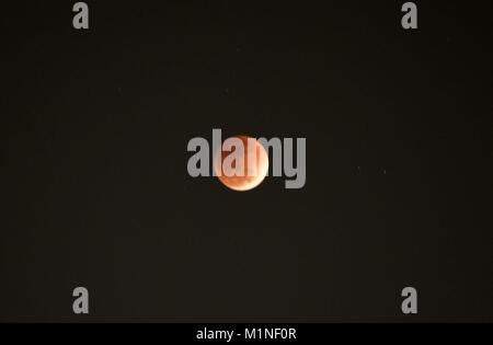 Allahabad, Indien. 31 Jan, 2018. Ein Blick auf Blut mond Mondfinsternis in Allahabad Universität. Credit: Prabhat Kumar Verma/Pacific Press/Alamy leben Nachrichten Stockfoto