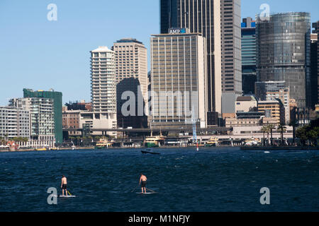 Paddleboarders Sydney Hafen Circular Quay Sydney New South Wales, Australien Stockfoto