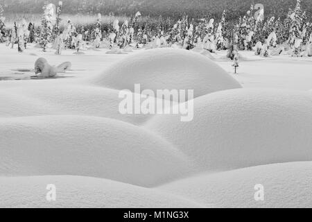 Tiefer Schnee rund um die heißen Quellen mit borealen Wald im Hintergrund, im Chugach State Park in Eagle River Nature Center in Alaska. Stockfoto