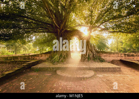 Wat Phra Ngam ist ein antiker Tempel in Ayutthaya Historical Park/Thailand Stockfoto