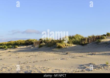Flache Dünen mit grünen dune Grass auf der Oberseite von der nord-östlichen Strand auf der Insel Borkum, 19. November 2017 | Verwendung weltweit Stockfoto