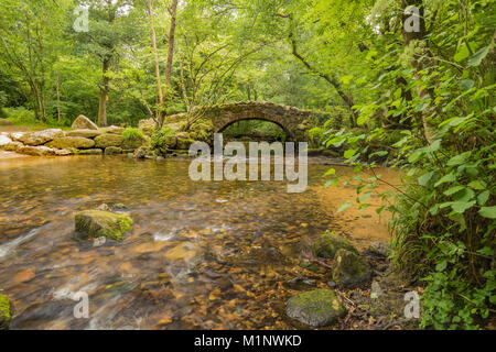 Ein Bild einer alten Lastesel Brücke liegt am Fluss Bovey, Dartmoor, Devon UK. Stockfoto