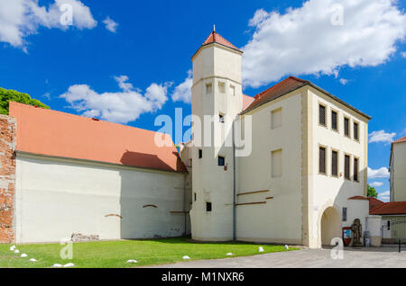 Herzogliche Schloss (13. Jh.), Krosno Odrzanskie (ger. Crossen an der Oder), Woiwodschaft Lebus, Polen, Europa. Stockfoto