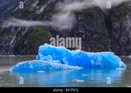 Tracy Arm Fjord, Clearing Nebel, Blaue Eisberge und Kaskaden, in der Nähe von South Sawyer Gletscher, Alaska, Vereinigte Staaten von Amerika, Nordamerika Stockfoto