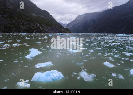 Schwere Eis in der Nähe der South Sawyer Gletscher, Nebel, Bergkulisse, Tracy Arm Fjord, Alaska, Vereinigte Staaten von Amerika, Nordamerika Stockfoto