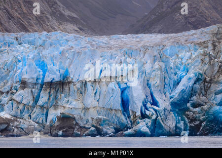 Blue Ice Gesicht der Sawyer Gletscher, Stikine Icefield, Tracy Arm Fjord, Alaska, Vereinigte Staaten von Amerika, Nordamerika Stockfoto