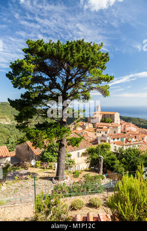 Dorf Poggio auf den Hügeln des Monte Capanne, Marciana, Insel Elba, Livorno Provinz, Toskana, Italien, Europa Stockfoto