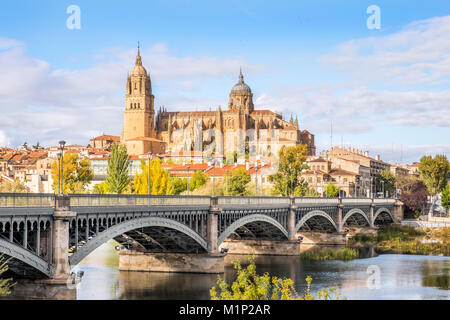 Dom mit Brücke über den Fluss Tormes, Salamanca, Kastilien und Leon, Spanien Stockfoto