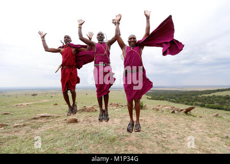 Masai Krieger, die die traditionelle springen Tanz, Masai Mara, Kenia, Ostafrika, Südafrika Stockfoto