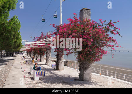 Seilbahn, Parque das Nacoes, Lissabon, Portugal, Europa Stockfoto