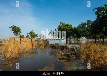 Die Abgänge der Chari River, Gaoui, in der Nähe von N'Djamena, Tschad, Afrika Stockfoto