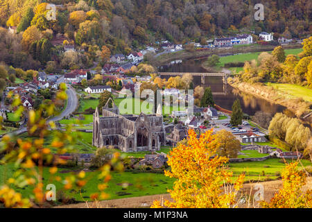 Tintern Abbey, Wye Valley, Monmouthshire, Wales, Vereinigtes Königreich, Europa Stockfoto