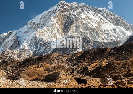 Blick vom Berg in der Nähe von Lobuche, Lhotse, Nuptse - Nepal, Himalaya Stockfoto