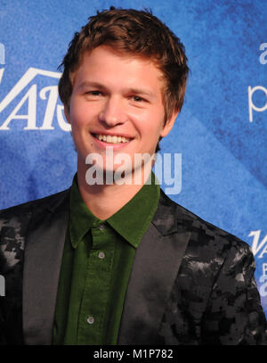 LOS ANGELES, Ca - 16. August: Schauspieler Ansel Elgort besucht Vielfalt macht der Junge Hollywood bei NeueHouse am 16. August in Los Angeles, Kalifornien 2016. Foto von Barry King/Alamy Stock Foto Stockfoto